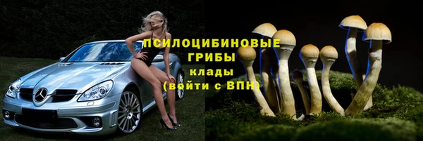 винт Покачи