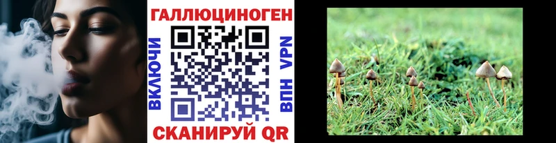 OMG зеркало  Козловка  Псилоцибиновые грибы Magic Shrooms  даркнет сайт 