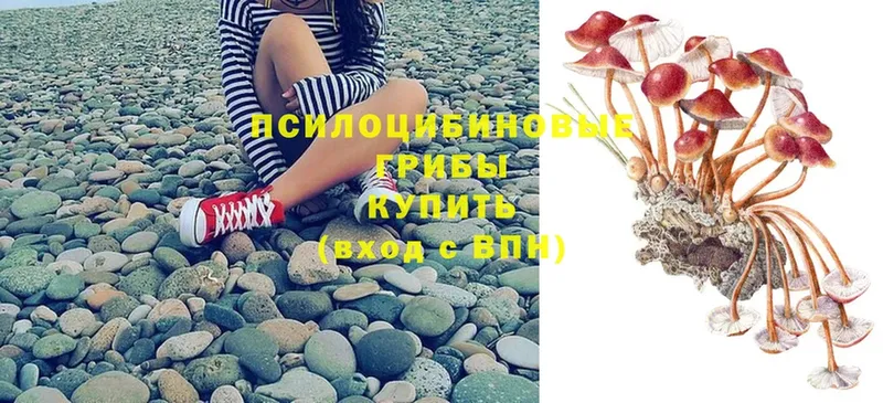 Галлюциногенные грибы Magic Shrooms  Козловка 